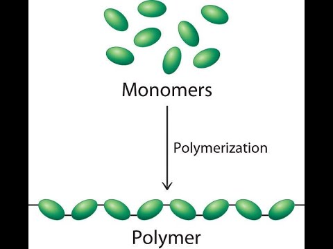 Introduction to Polymers