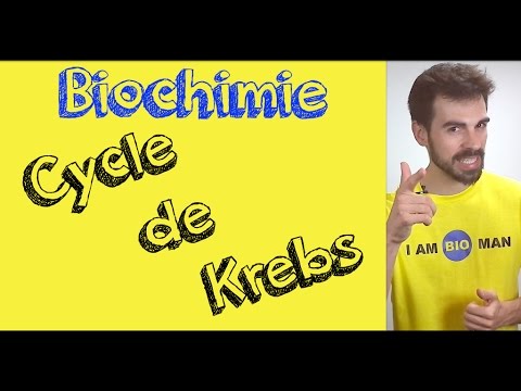 Biochemistry Course: Krebs Cycle