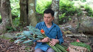 A trip to the forest to find food and cook with mom. Robert | Green forest life