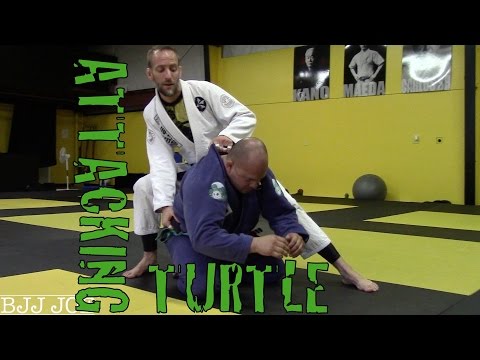 TURTLE: Transition to Back Mount and Clock Choke with Professor Ben Eaton