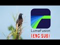 Edit Videos with LUMAFUSION Creating t
