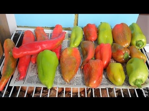 Хранение болгарского перца. Как хранить перцы дома. Заготовки из овощей в морозилку. Заморозка овощей. Перец аллар.