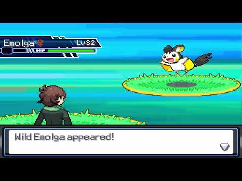 Miracle Seed, Charcoal, Magnet Location (Route 2) - Pokemon Rejuvenation Guide (V13)