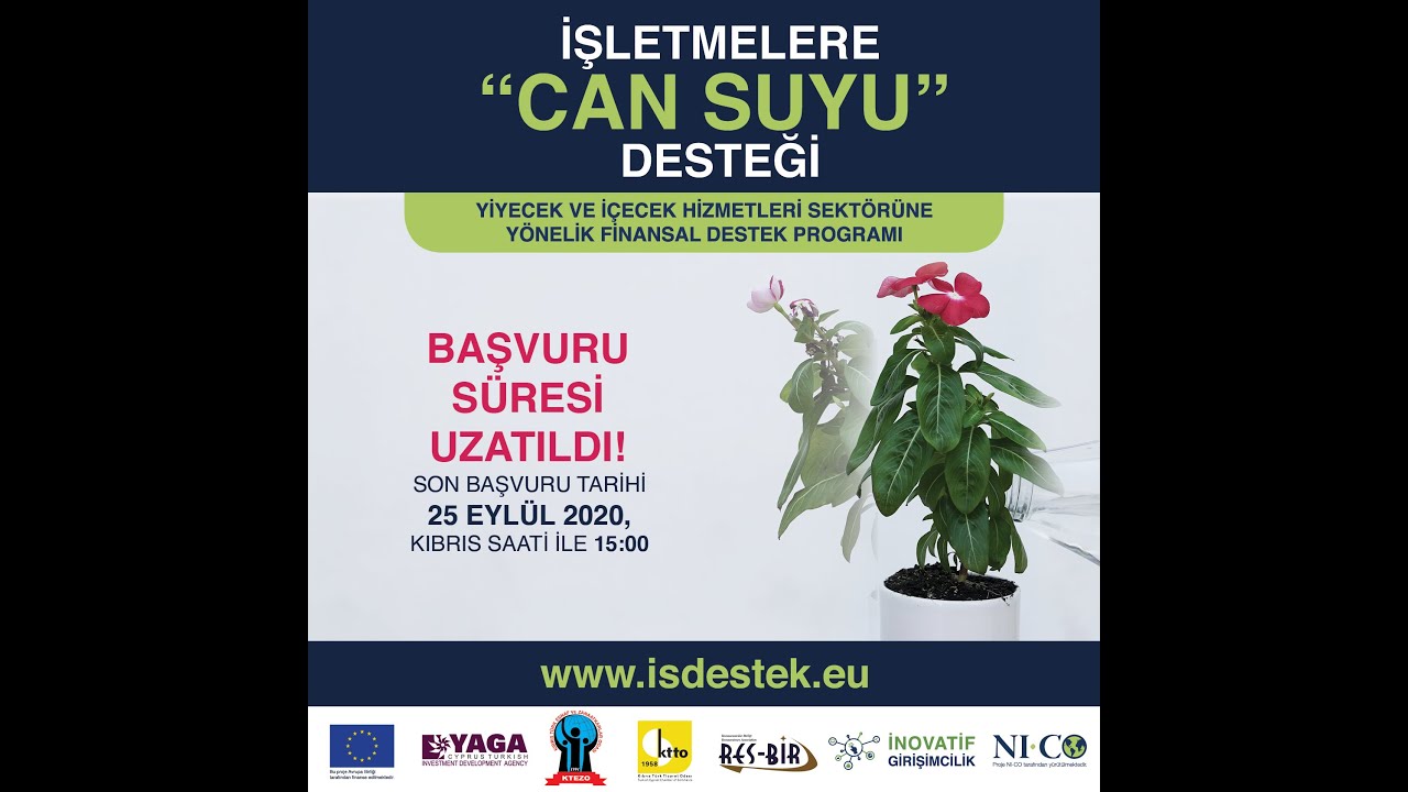 İnovatif Girişimcilik/Innovative Entrepreneurship FİNANSAL DESTEK PROGRAMI FINANCIAL SUPPORT SCHEME