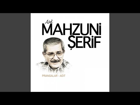 Video Yükleniyor...