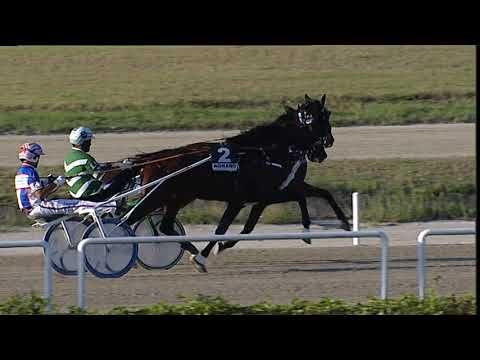 Napoli Trotto 05/09/2023 - 7ª corsa