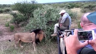 [問卦] 去非洲草原看動物的人為什麼不會被吃掉?