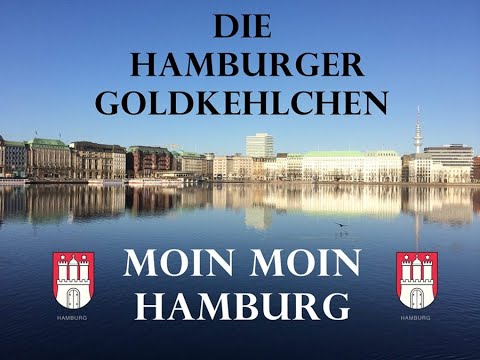 Die Hamburger Goldkehlchen - Moin Moin Hamburg Lyrics,Hafenrundfahrt,vorbei an der Elbphilharmonie
