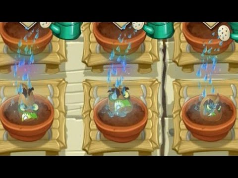 Plants vs Zombies 2 - Kiwibeast in Zen Garden