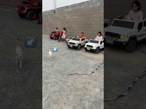 سيارات فخمة وجديدة مين فاز 🥇🔥