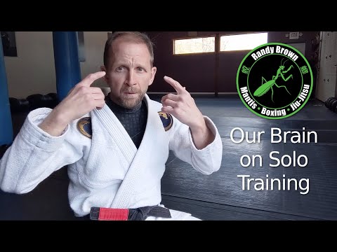 Our Brain on Solo Training Martial Arts