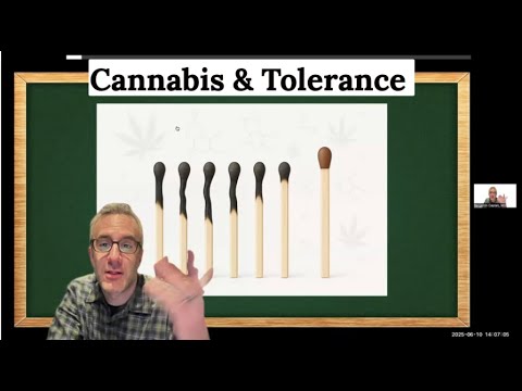 Tolerance Explained: Why Weed Stops Working