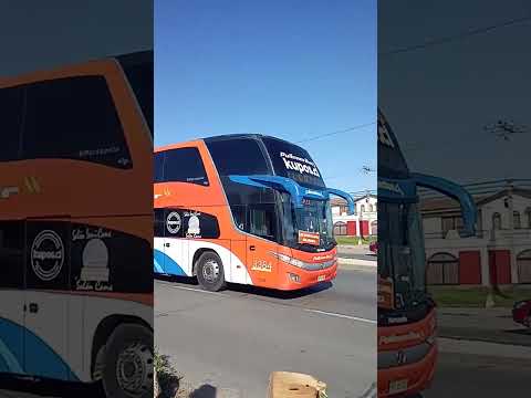 Pullman Bus pasando por Ruta 5 destino:Illapel 🚌 #Bus #Busologia #Automobile #Coquimbo #PullmanBus