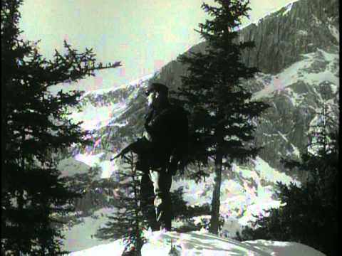 Phantom Fighters - The Big Picture