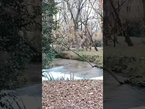 Paisaje otoñal Villa Totoral Córdoba Argentina