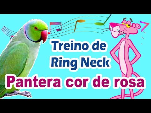 Assobio ring neck -  canto pantera cor de rosa para treinar ring neck