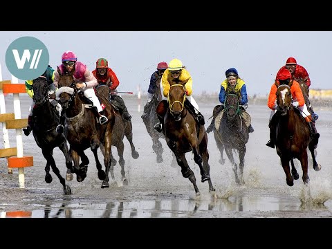 Die Gesichter des Wattenmeers | Deutschlands Küsten - Die Nordsee (2/10)