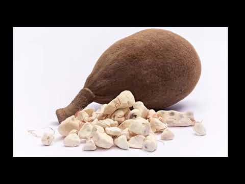 Baobab Frucht Wirkung 2018