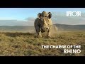 Sometimes Rhinos Can Be a Bit Unpredictable...