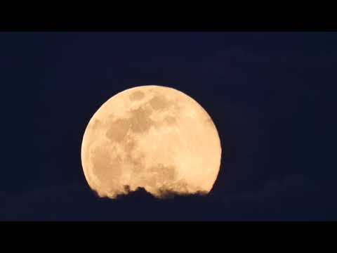 Cantos de Luna * Era la Luna Llena* // Moon songs *It was the full moon *