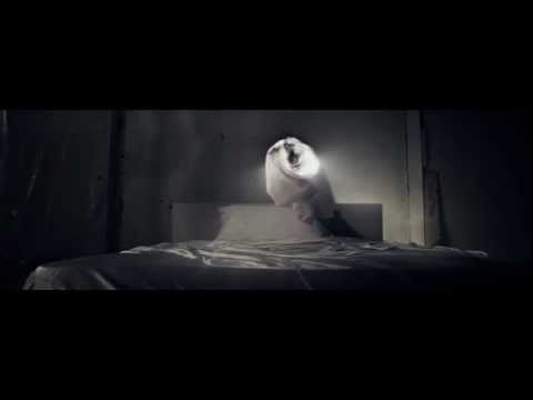 PANTyRAiD - That's The Spot / Jokes From The Backseat [Official Music Video]