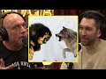 These Russian Dogs Are Wolf Slayers | Joe Rogan & Dave Smith