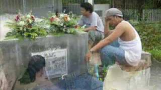 unperfectly perfect lives