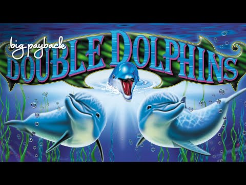 Double Dolphins Slot - LIVE PLAY BONUS, NICE!