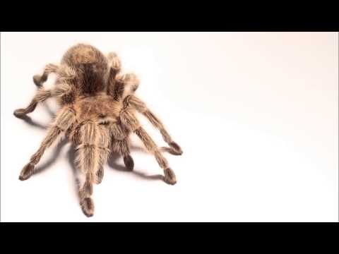 [HD / HQ]Adam Kancerski FT Aneym - It Takes Time [Chillout Trance]