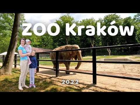 🇬🇧 KRAKOW ZOO | CRACOW | 2022 | VLOG | ZOO