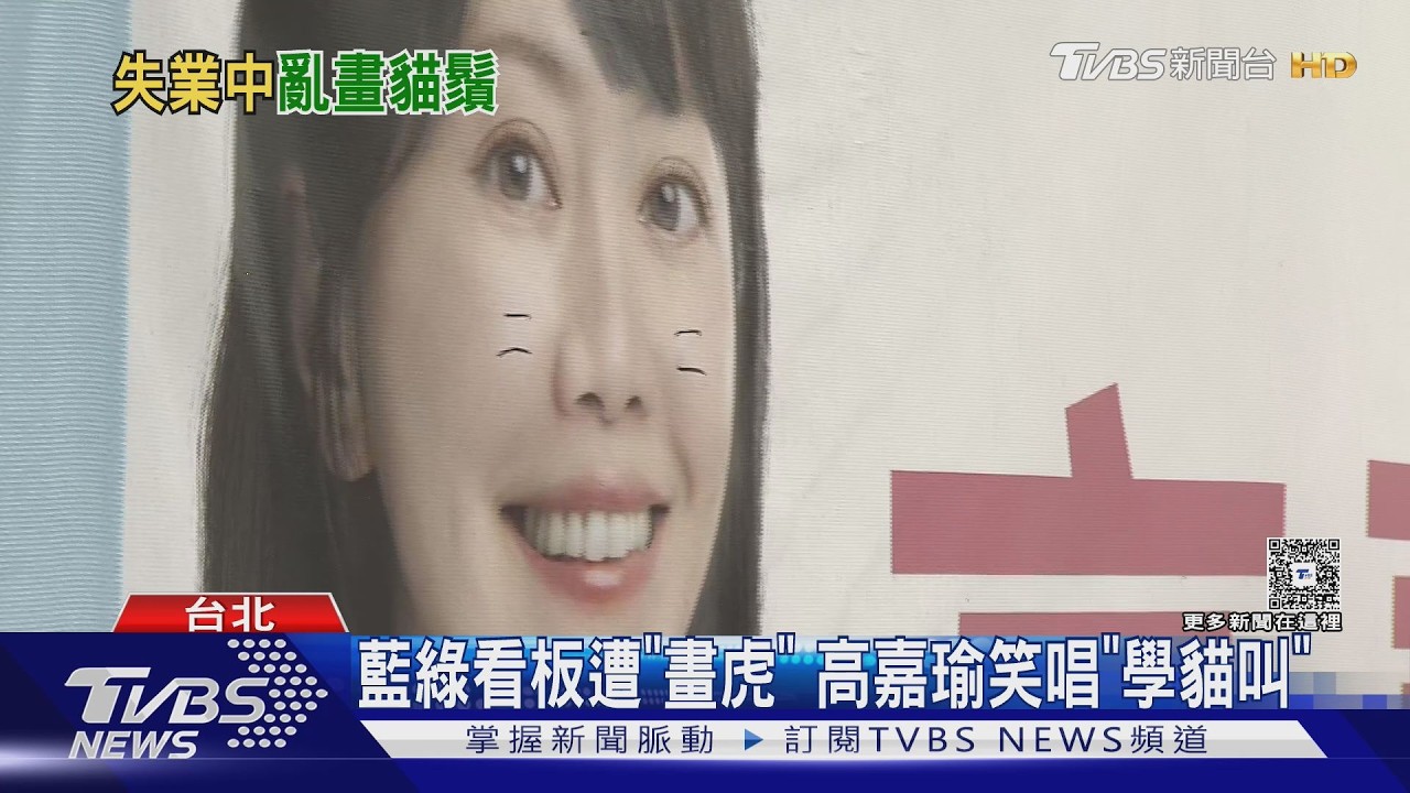 影音／整排藍綠看板遭「畫虎」 高嘉瑜笑唱「學貓叫」