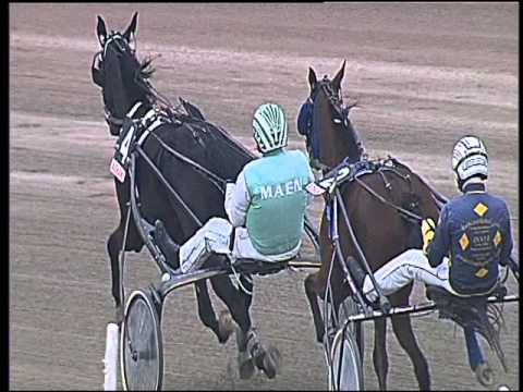 Trotto 08/04/2016 - 2° Corsa