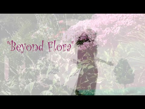 The Sleepwalk recent info 202301