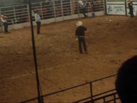 Locutor James Bonanza continuação