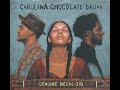 2010 - Carolina Chocolate Drops - Trampled rose