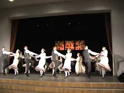 DA Laismeņa - Mēs ciemiņus gaidīdami