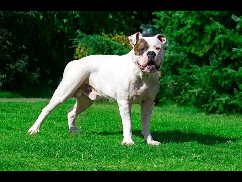 stirred so you can shake it part two