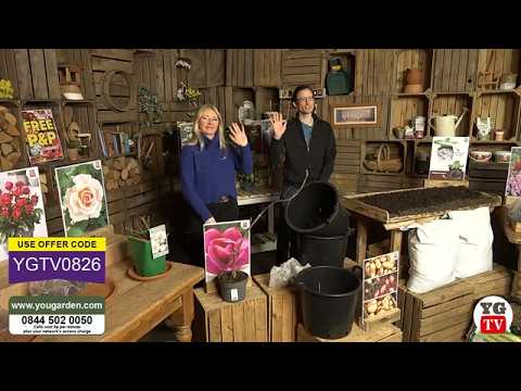 LIVE - Yougarden TV with this week's best offers.