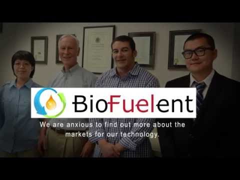 Biodiesel Fuel Production from Waste Trap Grease