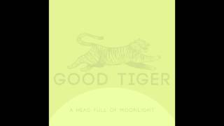 Good Tiger - Enjoy The Rain