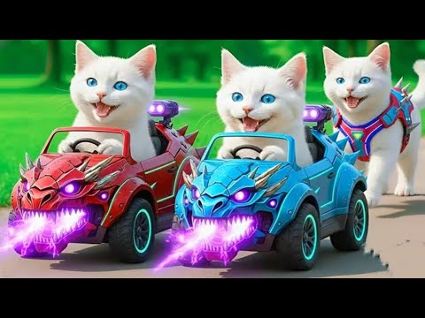 🔥 Super Cats in Powerful Cars | Viral Cat Video 🐱