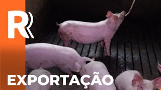 Miniatura do vídeo