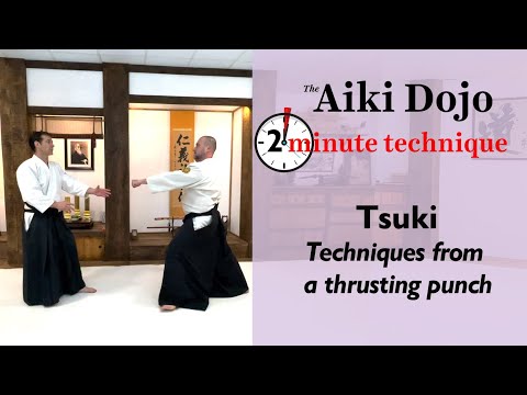 Tsuki - The Aiki Dojo 2 Minute Technique #aikido #tsuki #aikidocenterla #2minuteaikido #kodokaidojo