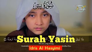 Download lagu Murattal Merdu Surah Yasin| Idris Al Hasyimi Terjemahan Indonesia mp3