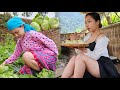 17 year old girl harvests cabbage to sell at the market | Cooking