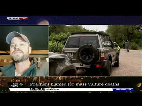 Birds of Prey | We are experiencing a vulture crisis: Dr Gareth Tate shares more