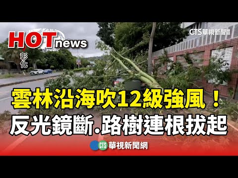 雲林沿海吹12級強風！　反光鏡被吹斷　路樹連根拔起