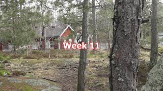BTS BFB Week 11