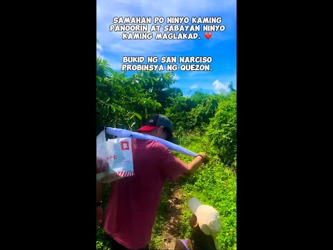 San Narciso Quezon: Embracing the Wonders of Nature in 4K Glory 🍃  #NatureBliss" #sannarcisoquezon
