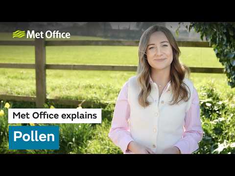 Pollen Season: How to stay prepared for hay fever